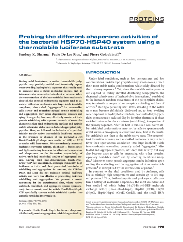 (PDF) Probing the different chaperone activities of the bacterial HSP70 ...