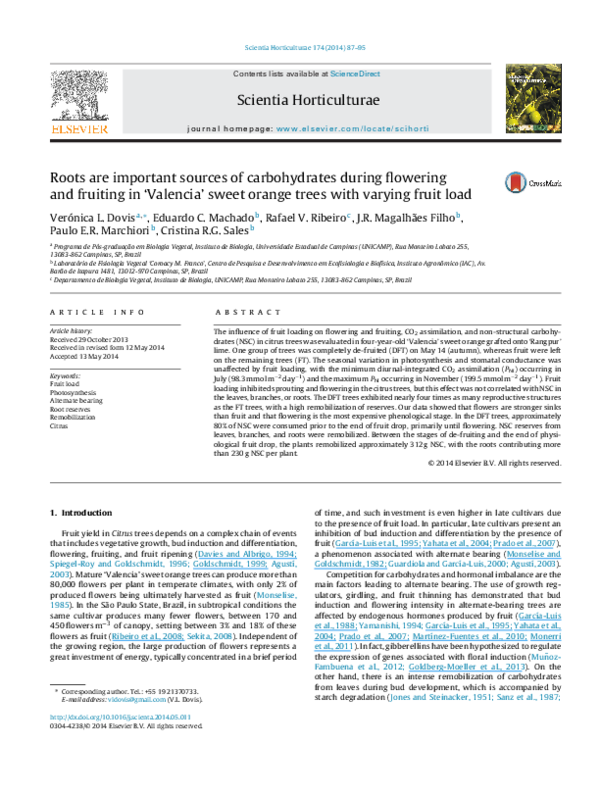 (PDF) Roots are important sources of carbohydrates during flowering and ...