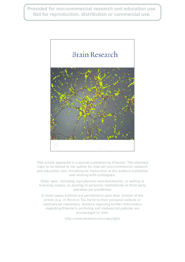 (PDF) Neural substrates of time perception and impulsivity