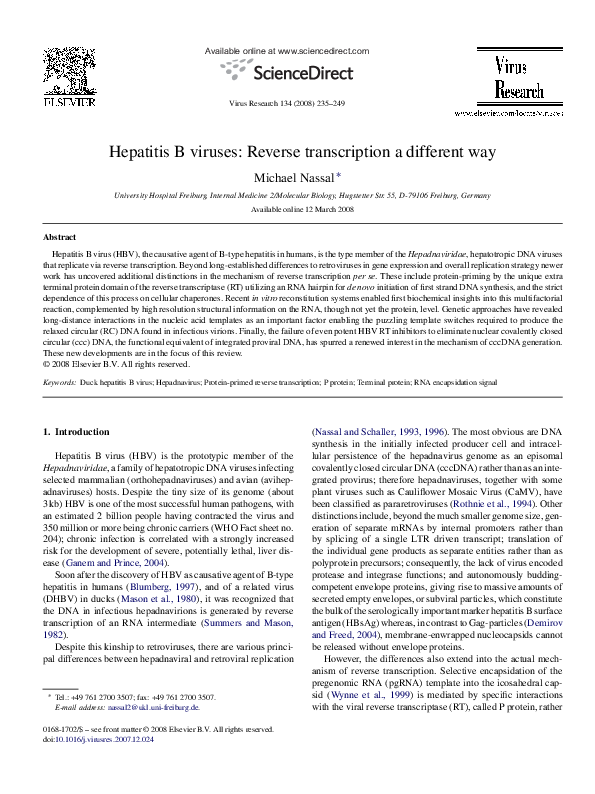 (PDF) Hepatitis B viruses: Reverse transcription a different way