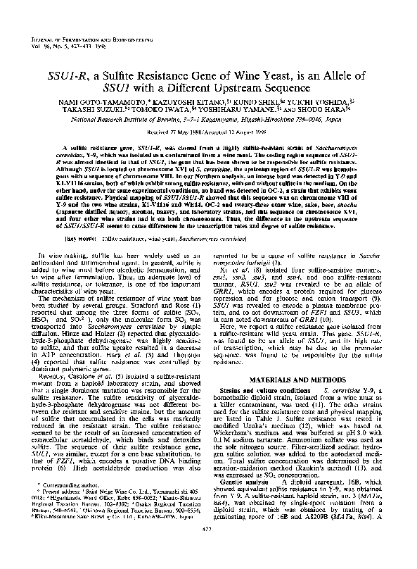 Wine yeast essay picture