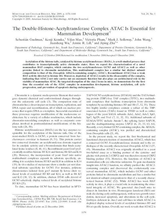 (PDF) The double-histone-acetyltransferase complex ATAC is essential ...