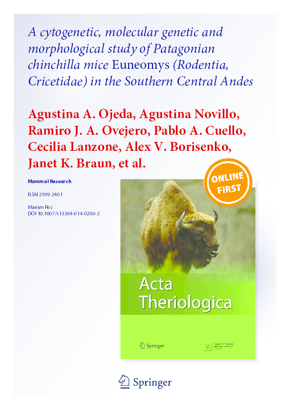 Chinchilla scientific name image