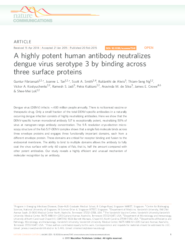 (PDF) A highly potent human antibody neutralizes dengue virus serotype ...