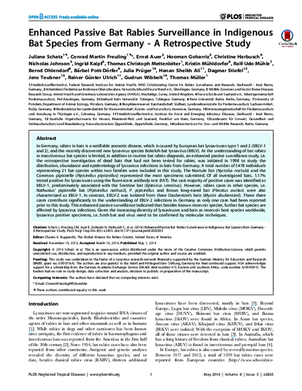 (PDF) Enhanced passive bat rabies surveillance in indigenous bat ...