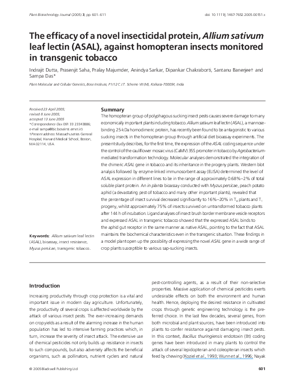 External insecticide image