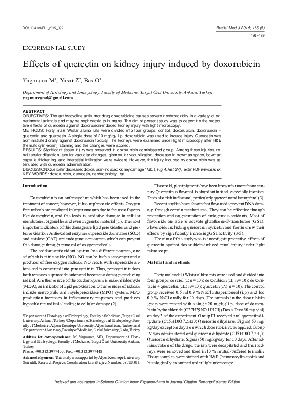 (PDF) Effects of quercetin on kidney injury induced by doxorubicin