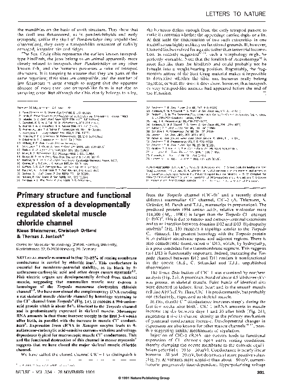 Pdf Primary Structure And Functional Expression Of A Developmentally Regulated Skeletal Muscle Chloride Channel Thomas Jentsch Academia Edu