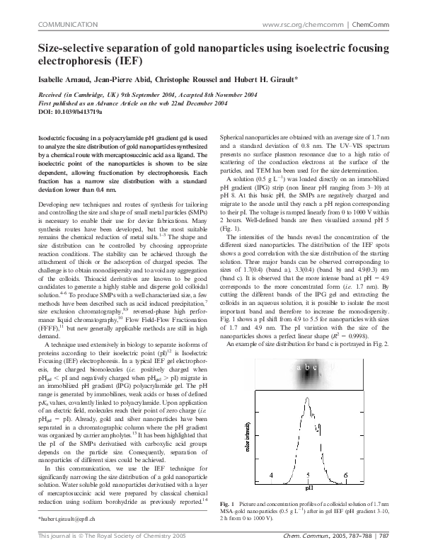 Isoelectric focusing protocol picture