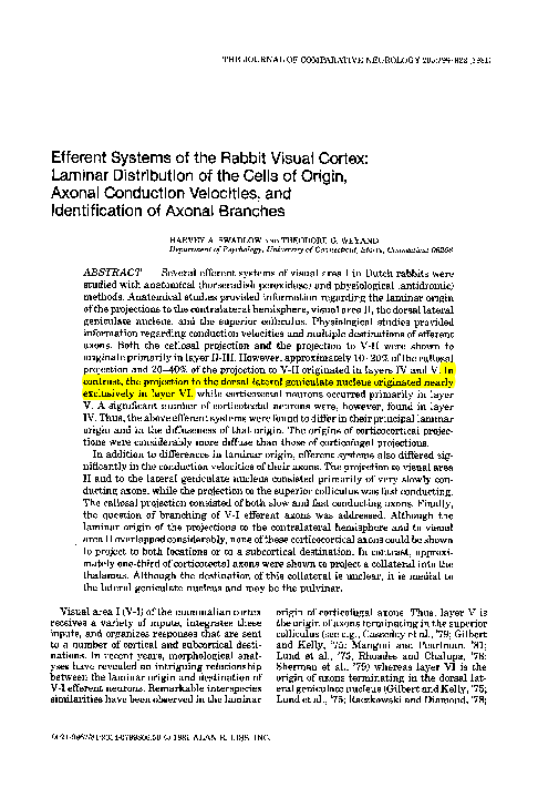 Efferent systems of the rabbit visual cortex: Laminar distribution of ...