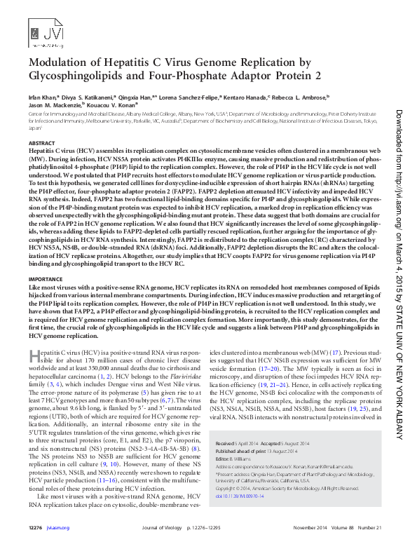 (PDF) Modulation of hepatitis C virus genome replication by ...