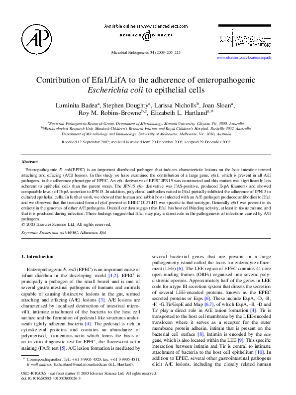 (PDF) Contribution of Efa1/LifA to the adherence of enteropathogenic ...