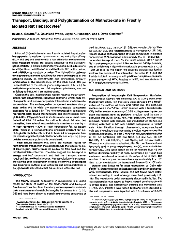 (PDF) Transport, binding, and polyglutamation of methotrexate in ...