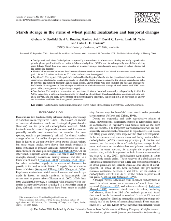 (PDF) Starch storage in the stems of wheat plants: localization and ...