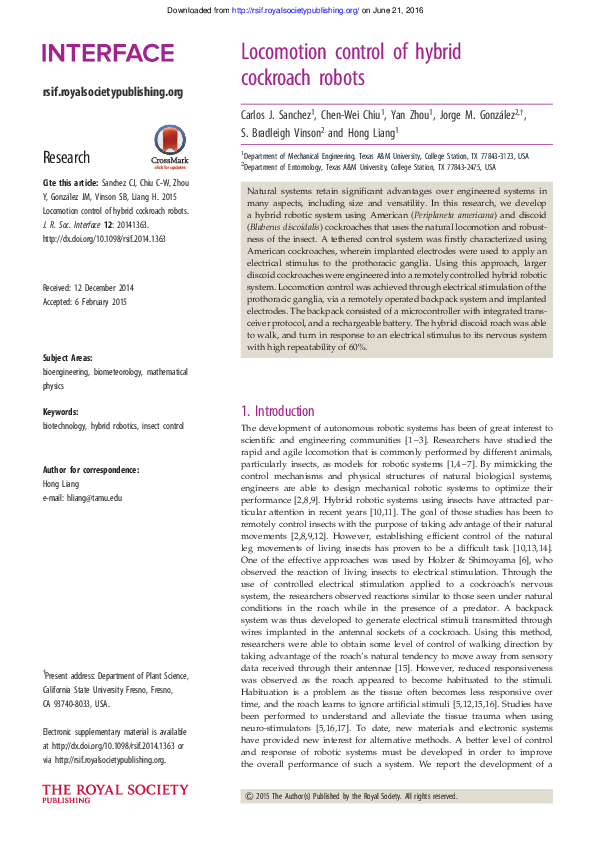 Cockroach short essay picture