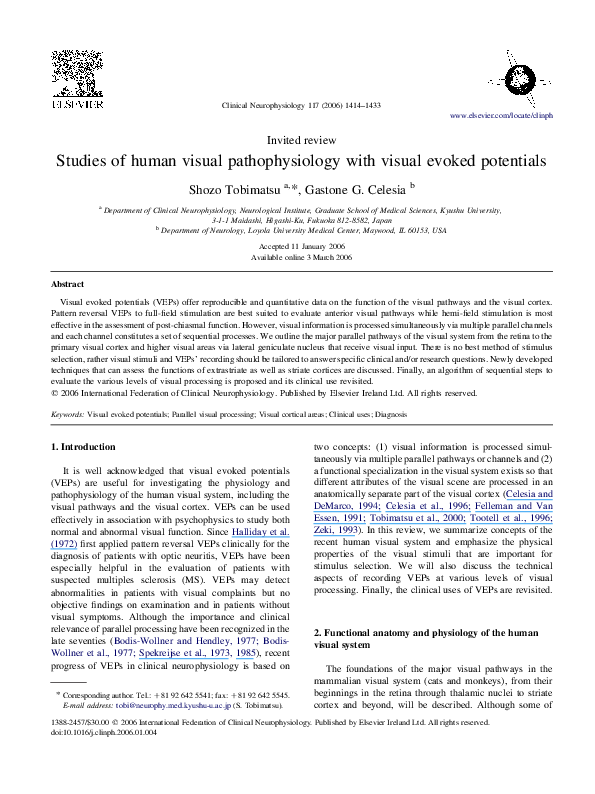 (PDF) Studies of human visual pathophysiology with visual evoked potentials