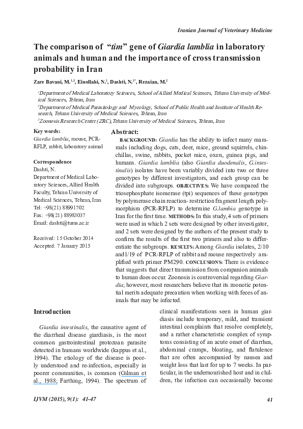 (PDF) The comparison of “tim” gene of Giardia lamblia in laboratory ...
