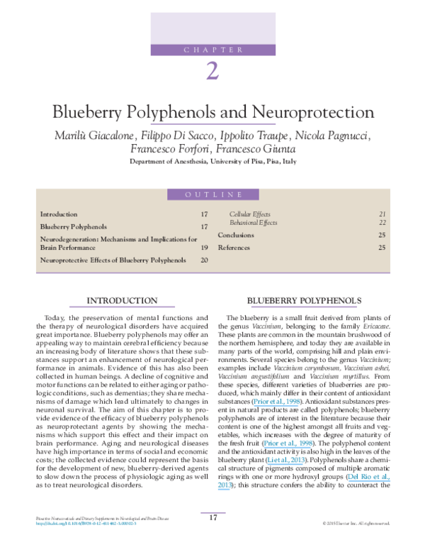 (PDF) Blueberry Polyphenols and Neuroprotection
