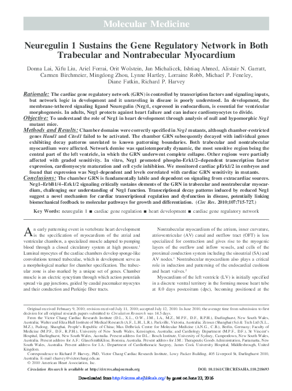 (PDF) Neuregulin 1 sustains the gene regulatory network in both ...
