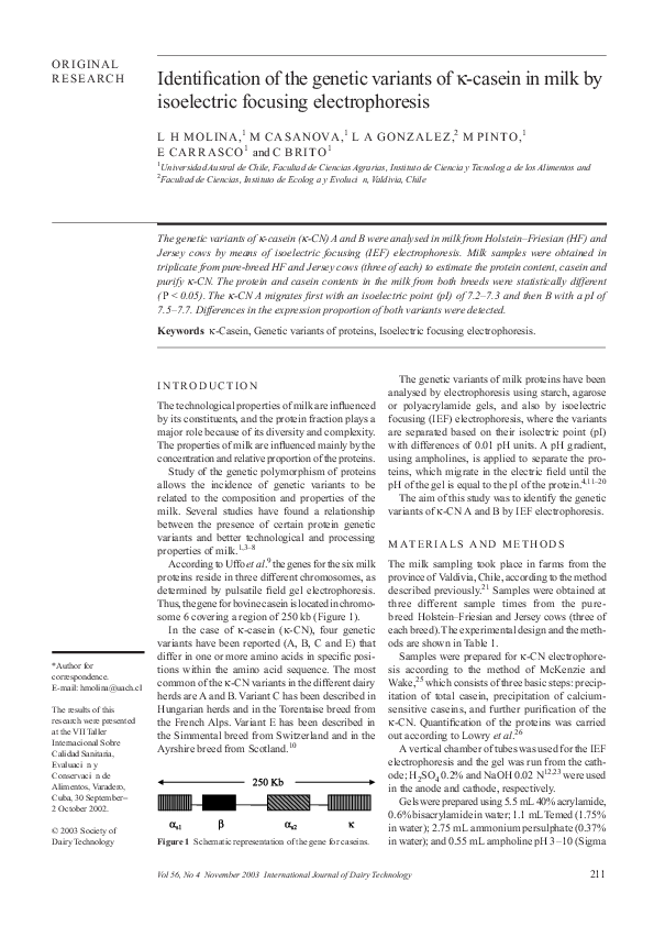 Isoelectric focussing essay image