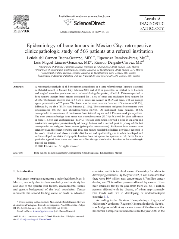 What to see in the bahamas picture