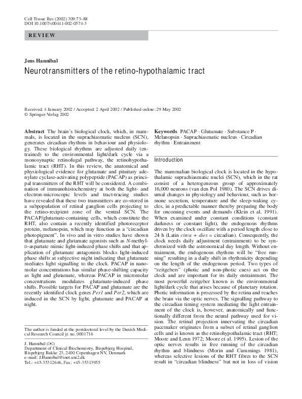 List of neurotransmitters and their functions pdf picture
