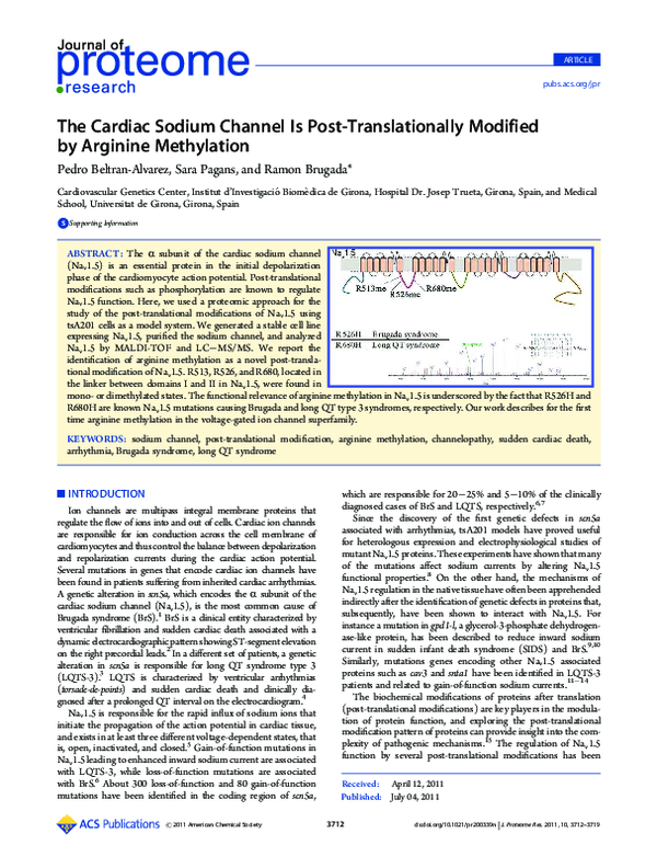 (PDF) The Cardiac Sodium Channel Is Post-Translationally Modified by ...
