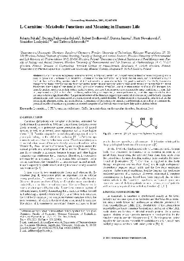 gbb l carnitine L-Carnitine Injections - A Learning Experience - #27 by tareload - TRT main image 0