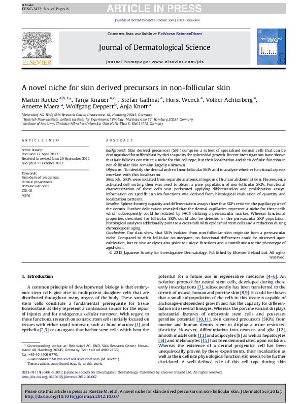 (PDF) A novel niche for skin derived precursors in non-follicular skin