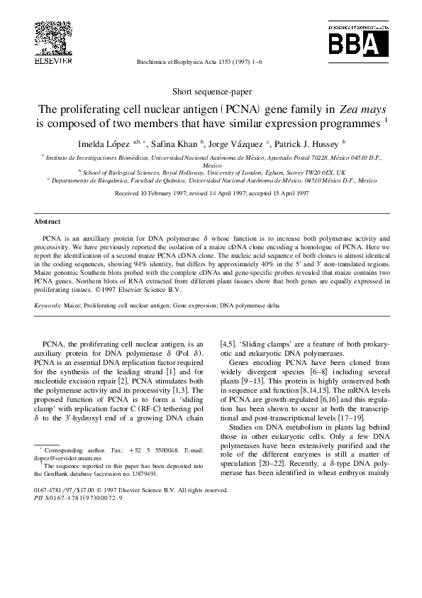 (PDF) The proliferating cell nuclear antigen (PCNA) gene family in Zea ...