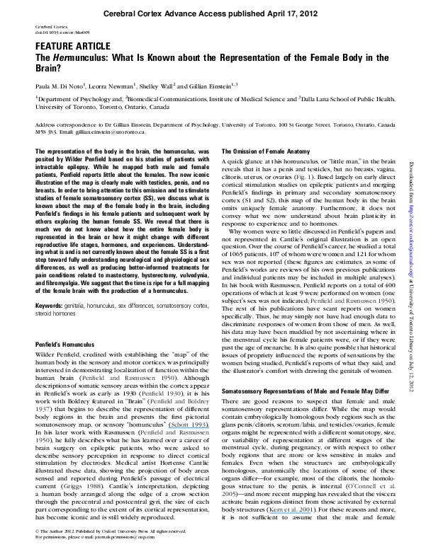 (PDF) The hermunculus: what is known about the representation of the ...
