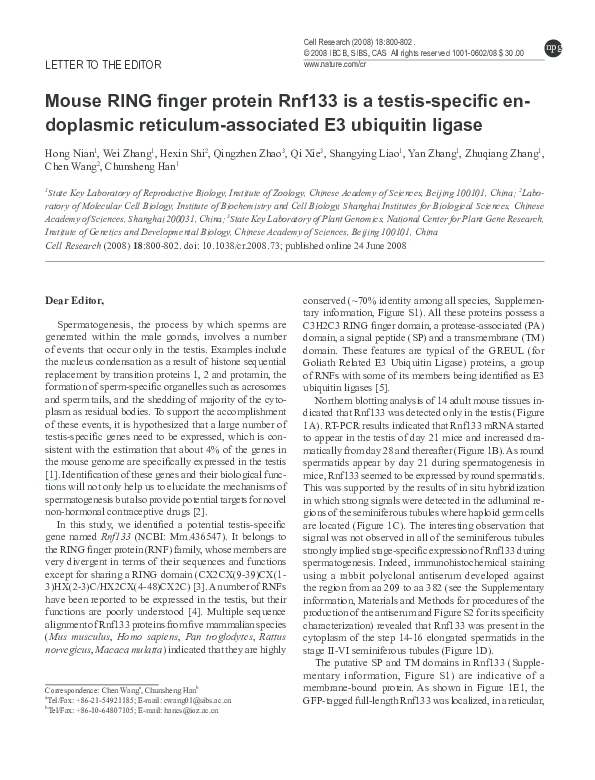 (PDF) Mouse RING finger protein Rnf133 is a testis-specific endoplasmic ...