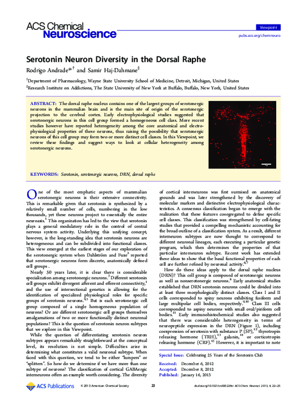 (PDF) Serotonin Neuron Diversity in the Dorsal Raphe