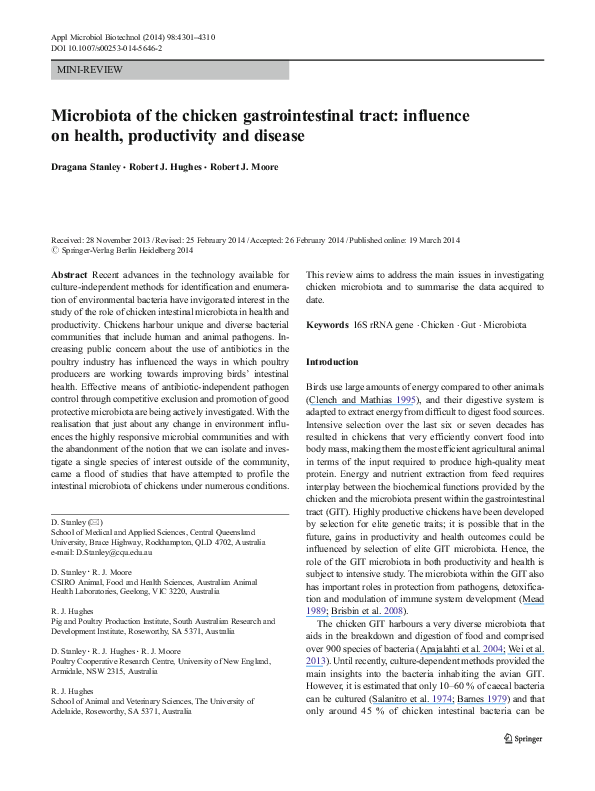 Journey through the digestive system essay picture