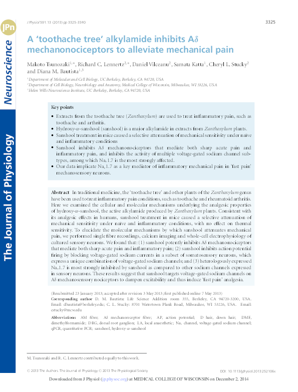 (PDF) A 'toothache tree' alkylamide inhibits Aδ mechanonociceptors to ...