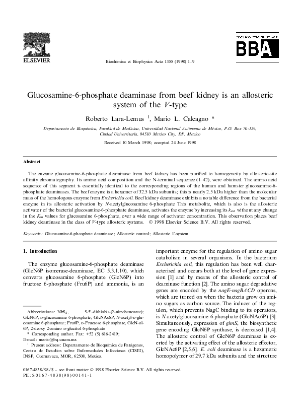 (PDF) Glucosamine6phosphate deaminase from beef kidney is an