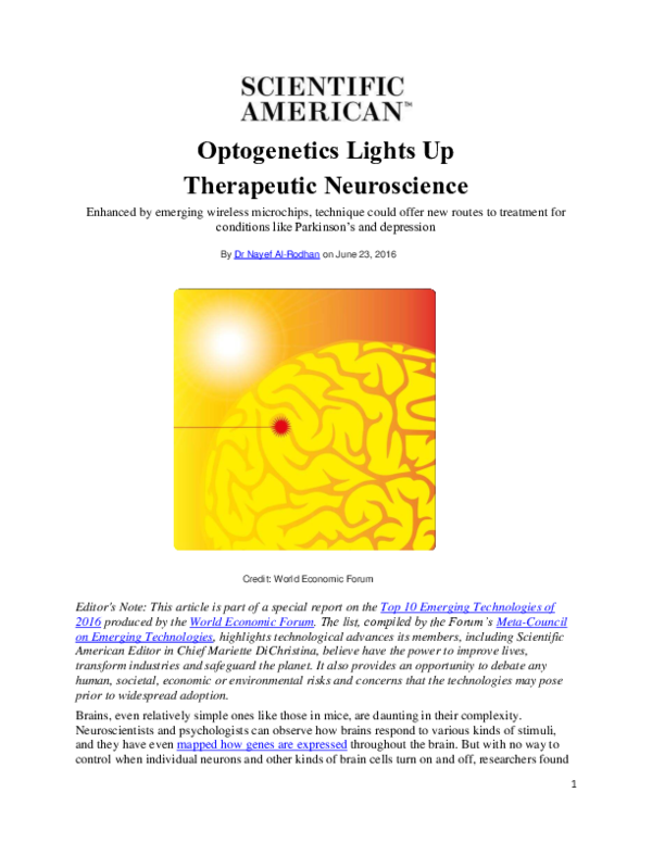 (PDF) Lights Up Therapeutic Neuroscience Nayef AlRodhan