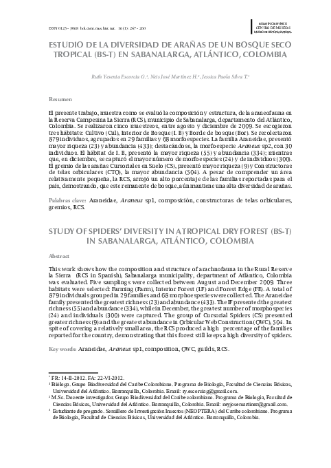 Bosque lluvioso essay 06 image