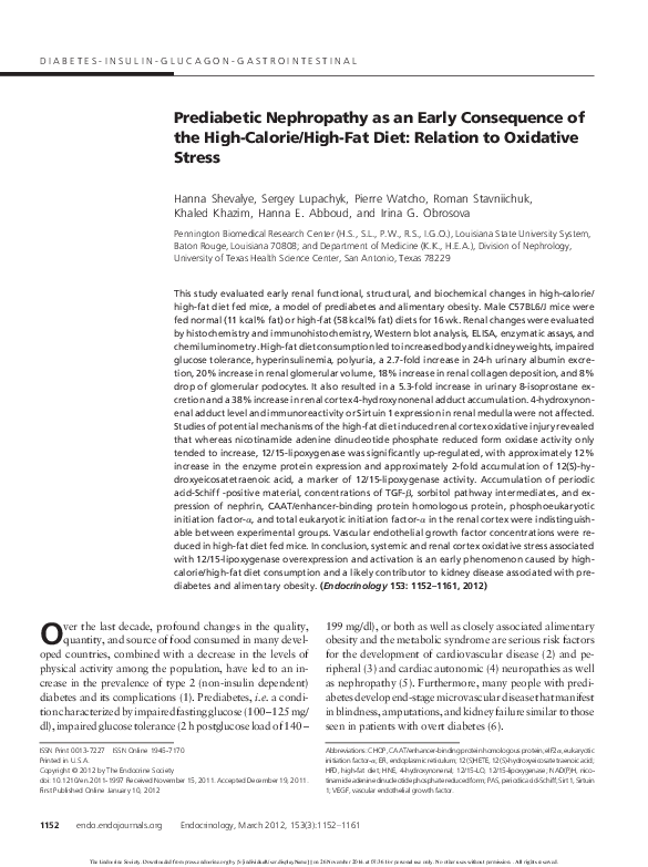 Pdf Prediabetic Nephropathy As An Early Consequence Of The High Calorie High Fat Diet Relation To Oxidative Stress Sergey Lupachyk Academia Edu