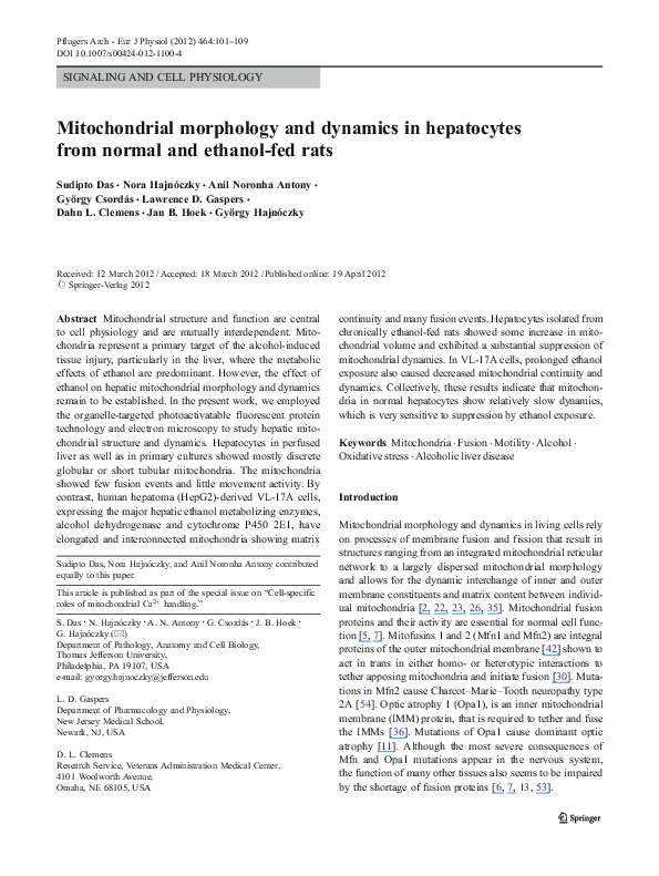 (PDF) Mitochondrial morphology and dynamics in hepatocytes from normal ...