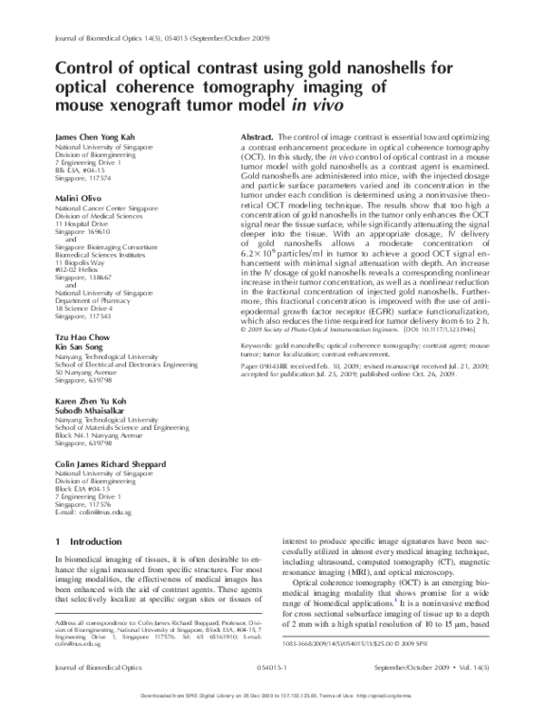 Essay about nanoshells picture