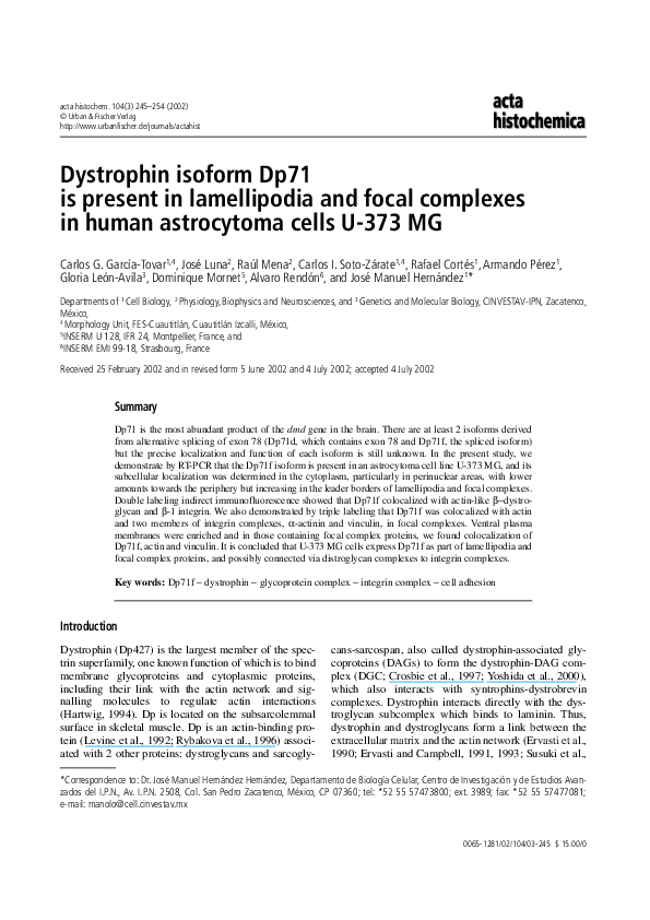 (PDF) Dystrophin isoform Dp71 is present in lamellipodia and focal ...