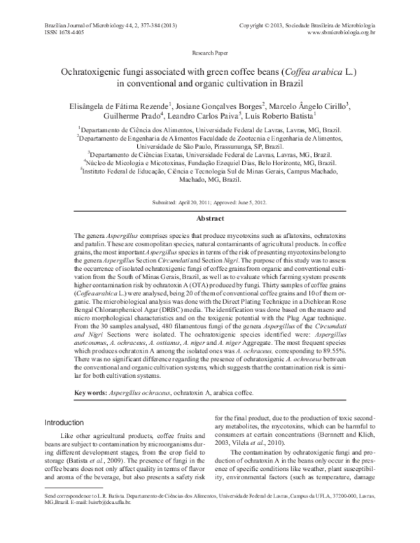 Writing about coffee image