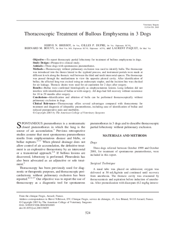 (PDF) Thoracoscopic treatment of bullous emphysema in 3 dogs Herve