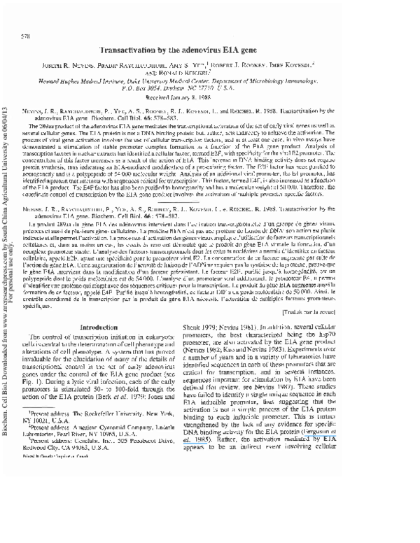 (PDF) Transactivation by the adenovirus E1A gene