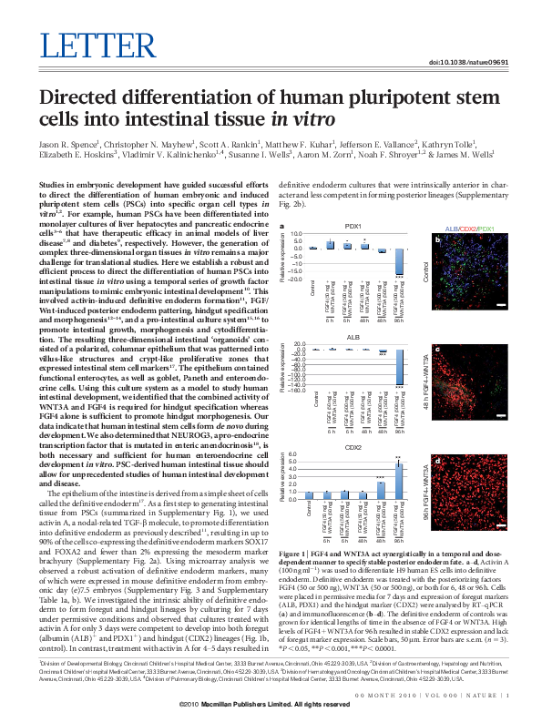 (PDF) Directed differentiation of human pluripotent stem cells into ...