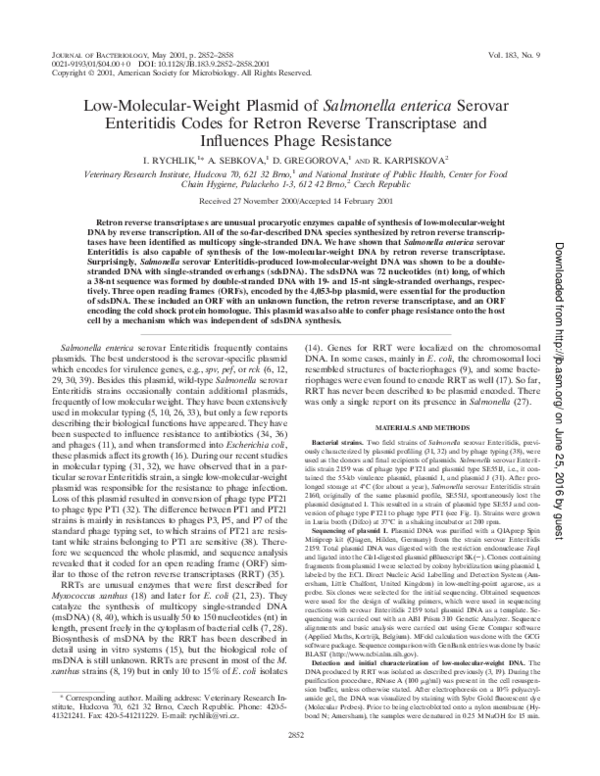 (PDF) Low-Molecular-Weight Plasmid of Salmonella enterica Serovar ...