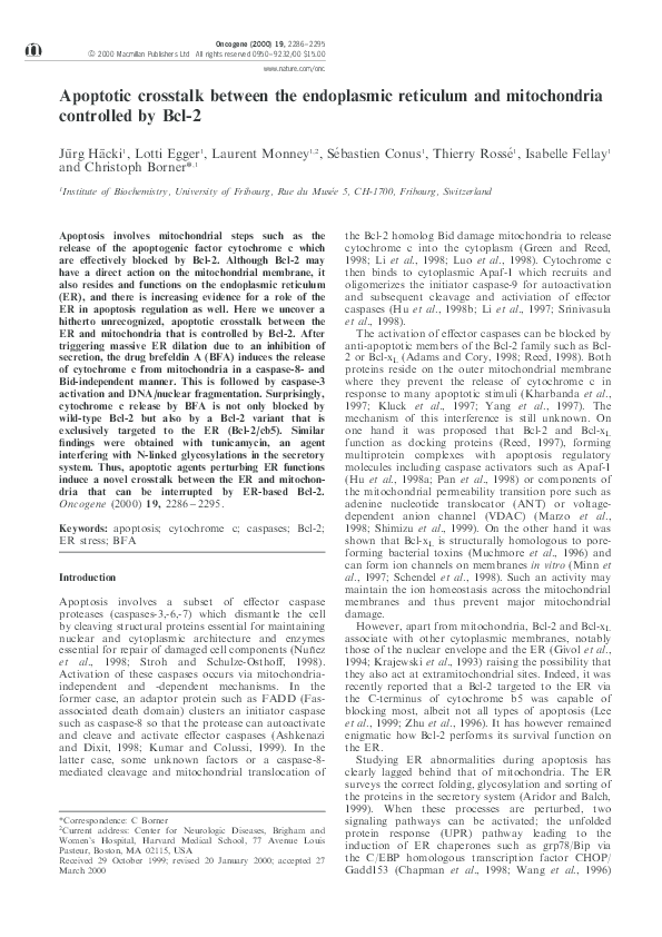 (PDF) Apoptotic crosstalk between the endoplasmic reticulum and ...