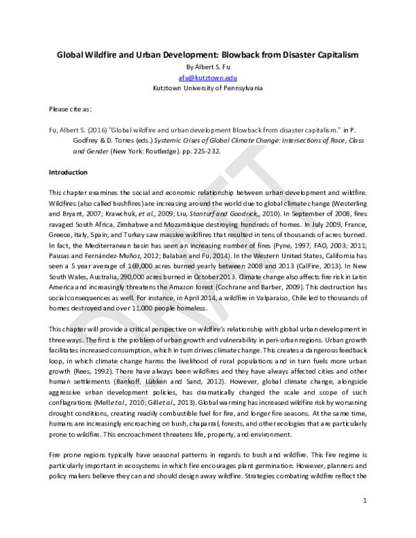 The shock doctrine pdf image