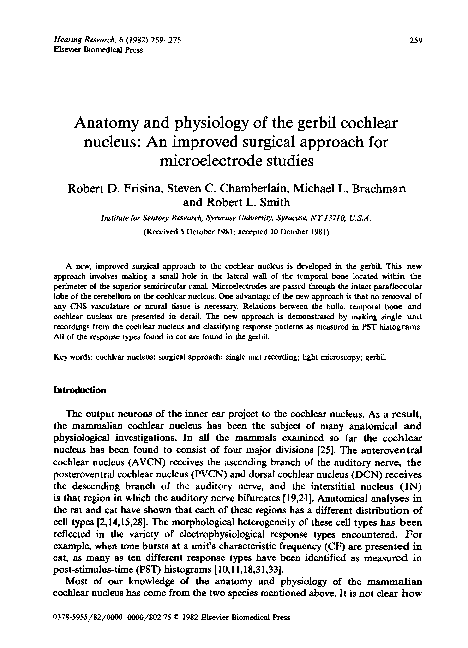 (PDF) Anatomy and physiology of the gerbil cochlear nucleus: An ...